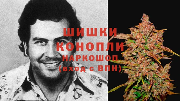 spice Арсеньев