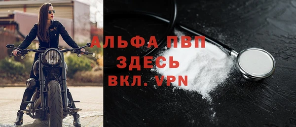 spice Арсеньев