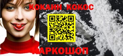 стаф Можга