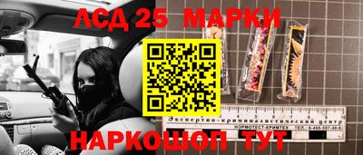 стаф Можга