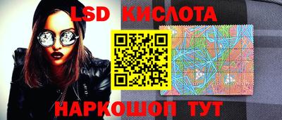 стаф Можга