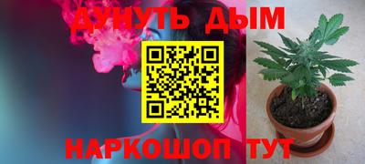 стаф Можга