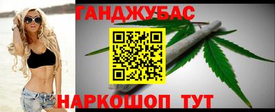 стаф Можга