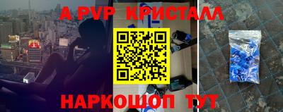стаф Можга