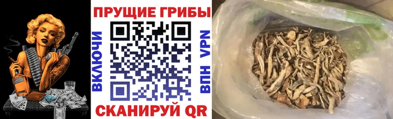 Галлюциногенные грибы прущие грибы  Рыбинск 