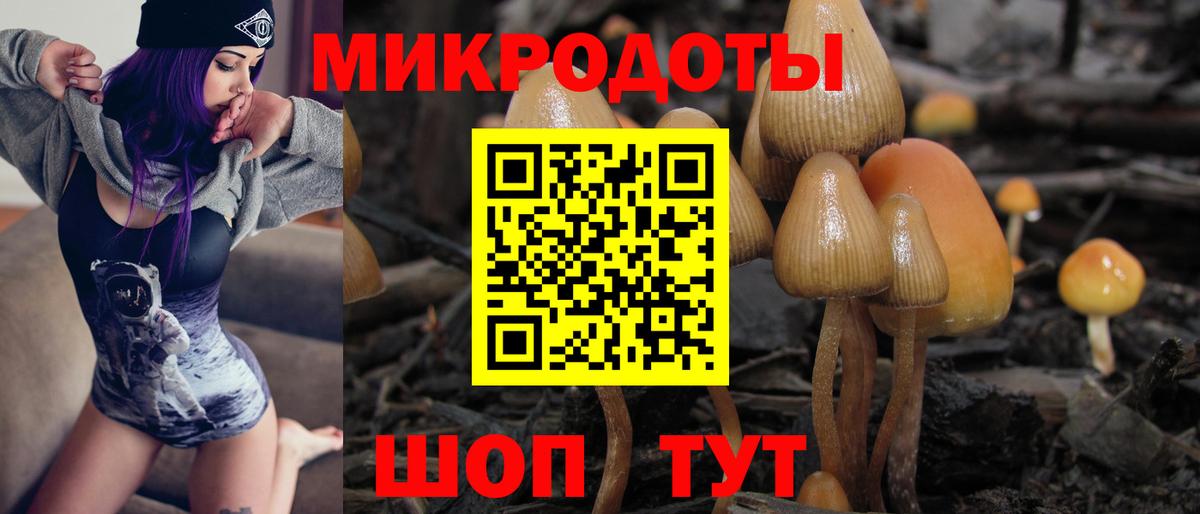 Галлюциногенные грибы мицелий Рыбинск